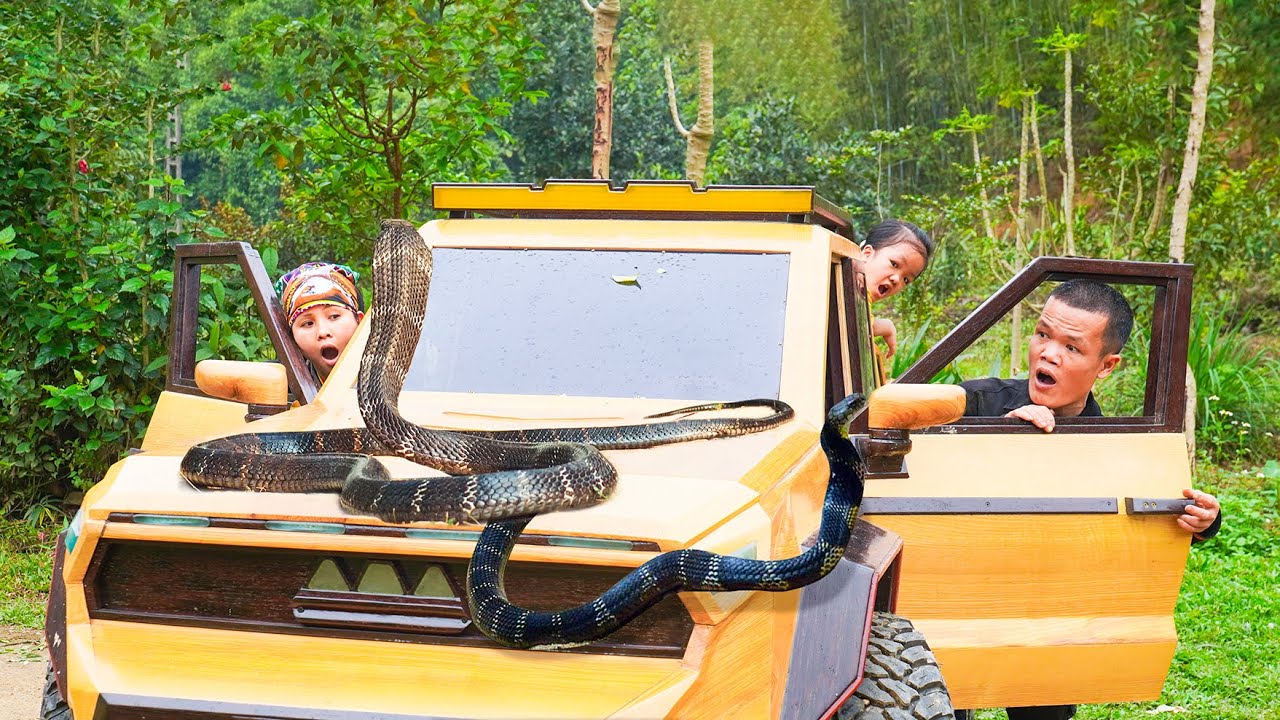 Dwarf family encounters a king cobra while driving a car &ndash; King Cobra VS Car | Countryside Life