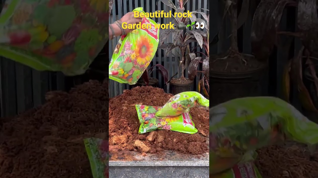 Beautiful rock garden work 