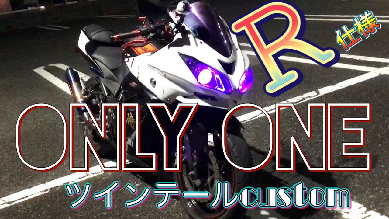 kawasaki Ninja 250r オンリーワンカスタム「テールライト2灯丸編」#49