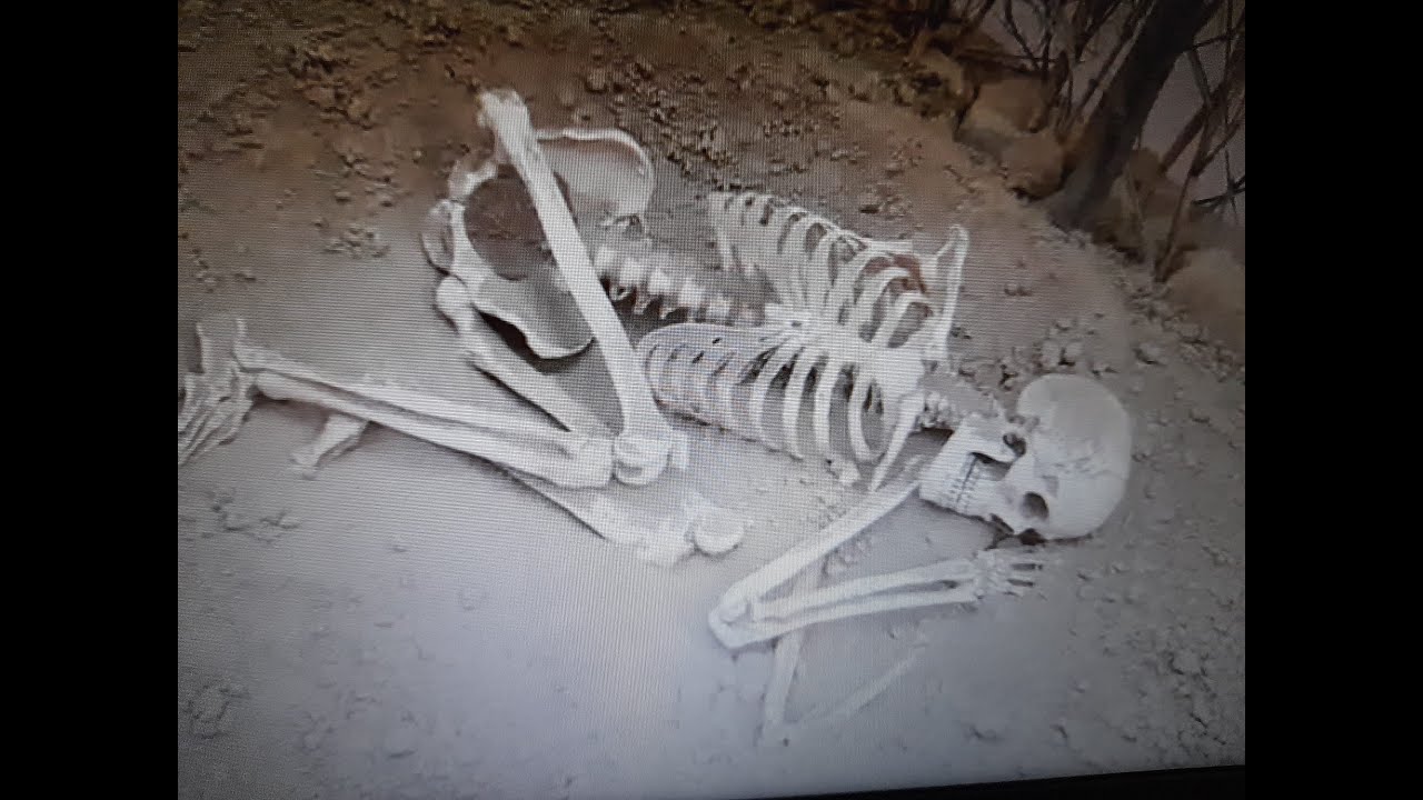 ÖĞRENCİLER GENÇLER DİKKAT ZAMAN YOLCULUĞU İZMİR BORNOVA YEŞİLOVA VE YASSI TEPE HÖYÜĞÜ