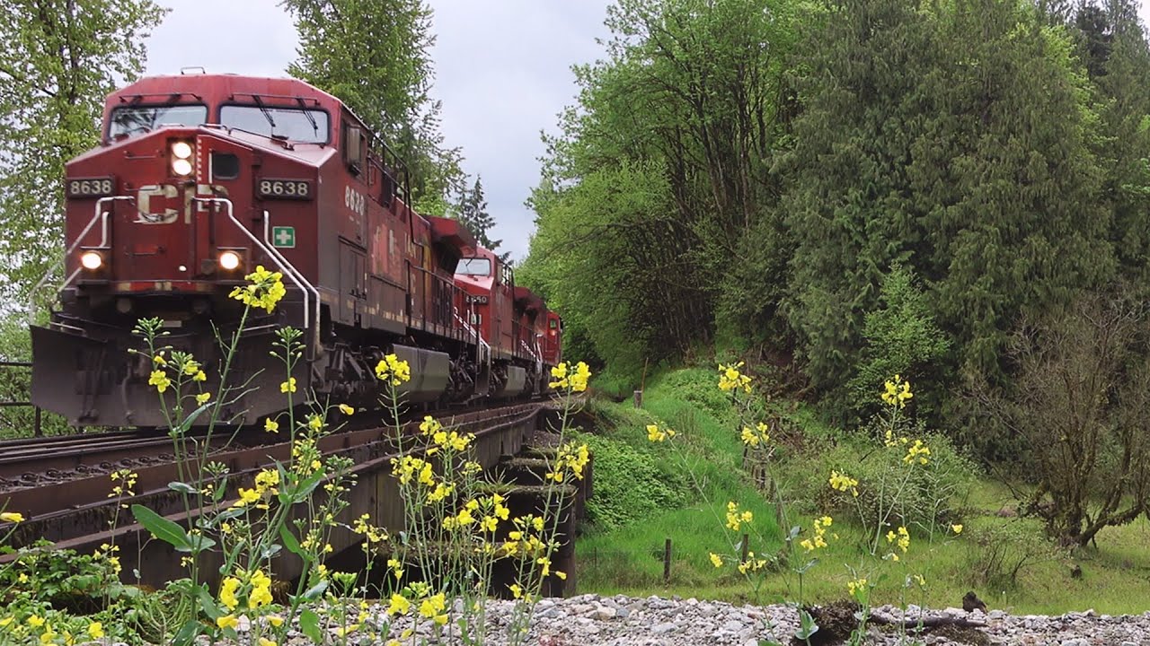 Canadian Railroads Following Alongside The Fraser River, Thru British Columbia's Lower Mainland