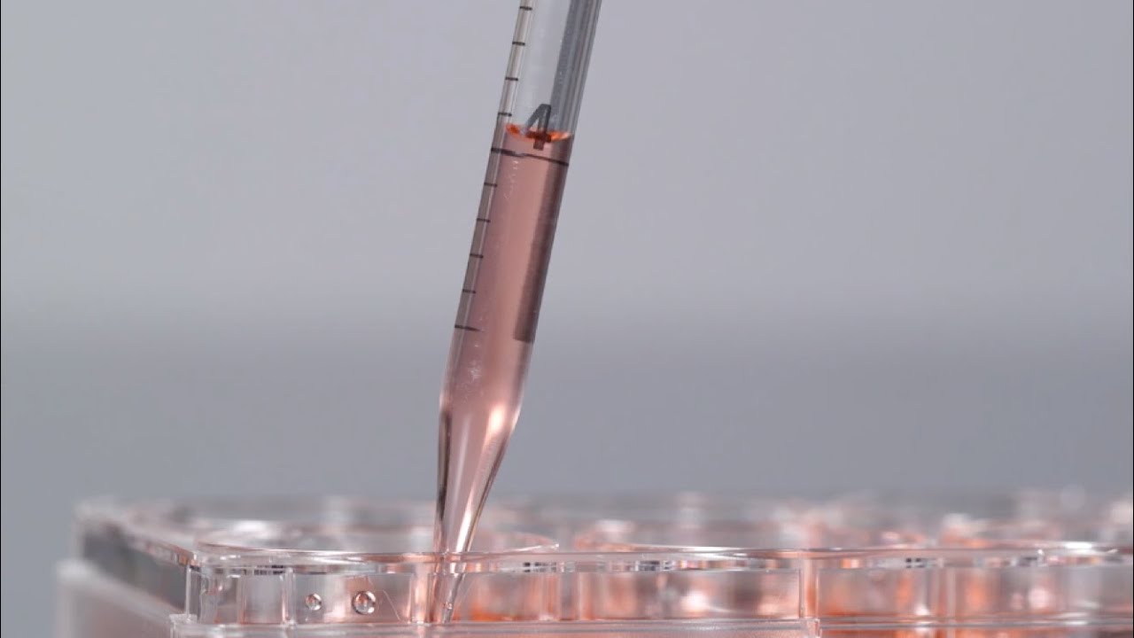 3D Cell Culturing: Taking advantage of recent advances