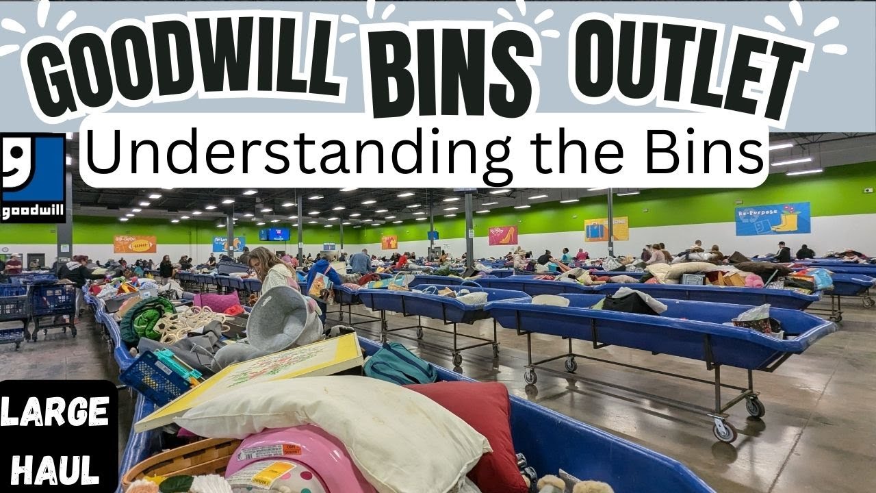 GOODWILL OUTLET BINS - Understanding the Bins - Shopping with Asst. Manager - Thrift with Us - Haul