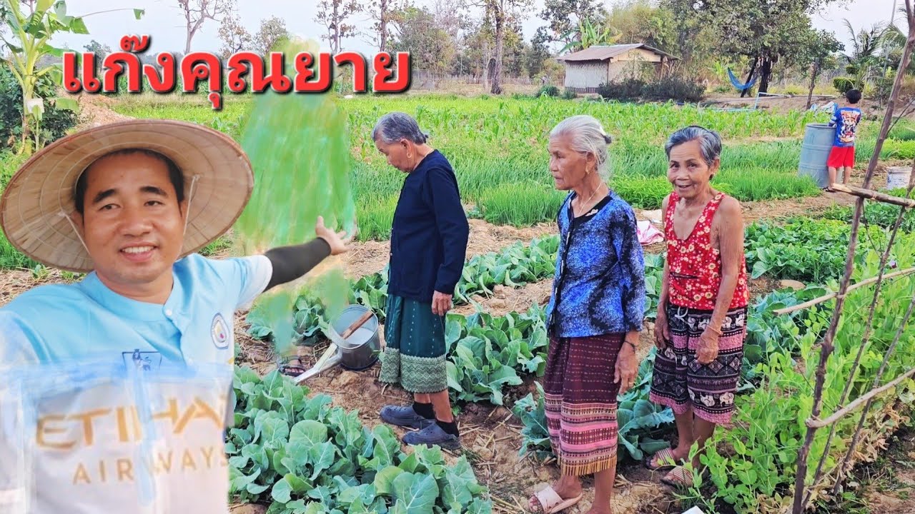 แก๊งคุณยาย.