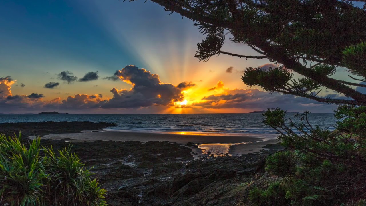 Beautiful Emu Park