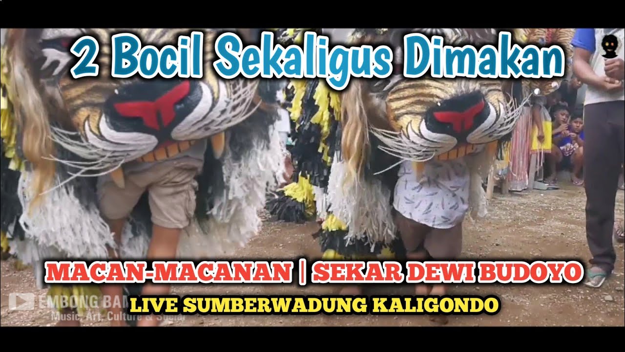 DUA BOCIL JADI KORBAN | MACAN-MACANAN SEKAR DEWI BUDOYO | SUMBERWADUNG KALIGONDO
