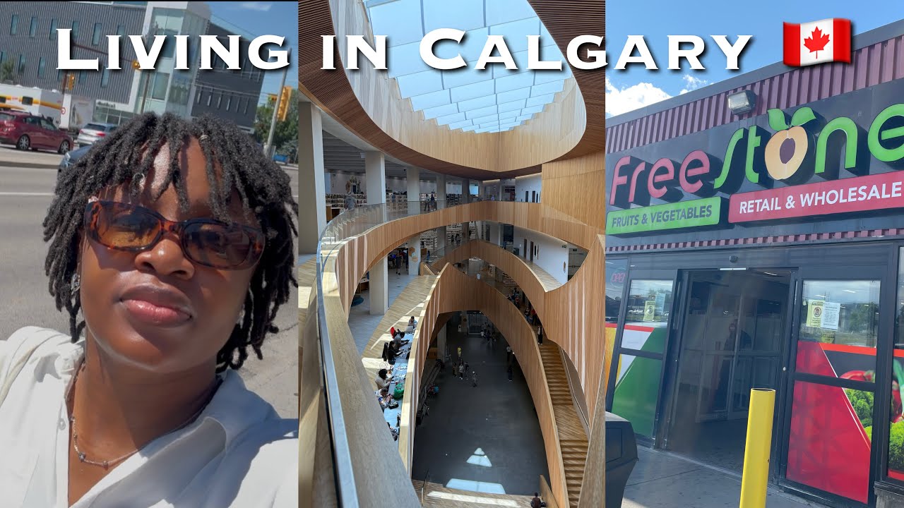 Visiting the most aesthetic library in Canada|Large grocery shopping|IMGs get together
