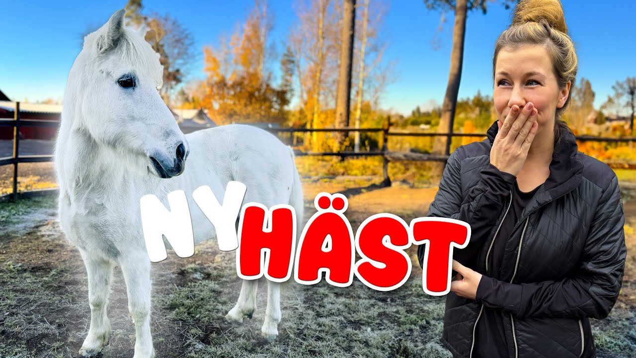 H&Auml;MTAR V&Aring;R NYA H&Auml;ST