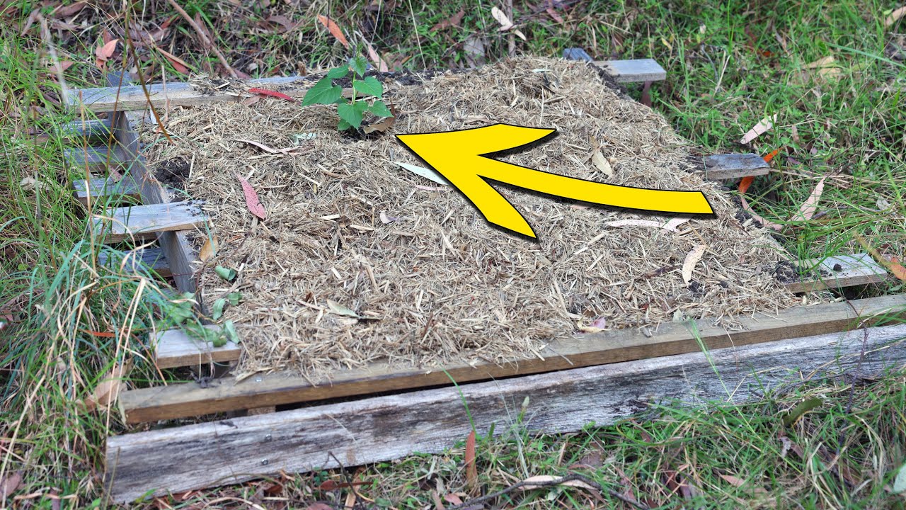 Pallet Pumpkin Bed Build - For A Hill Or Slope!