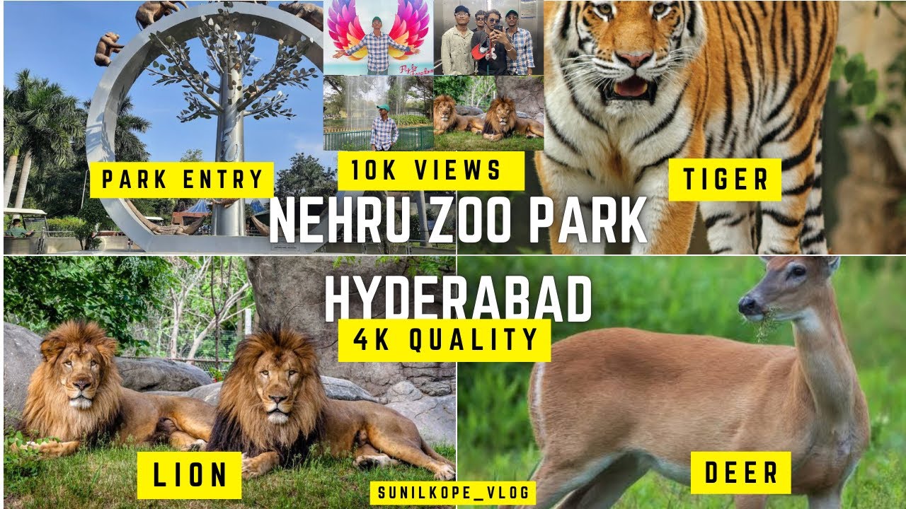 #hyderabad,Telangana, Nehru zoo park, Hindi vlog, tiger, lions 🦁,crocodiles, #odiavlog #zoo #travel 