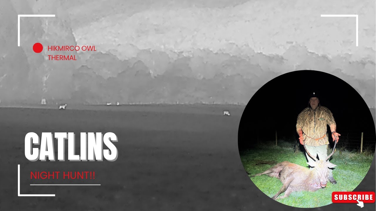 Catlins Night Hunt 2025