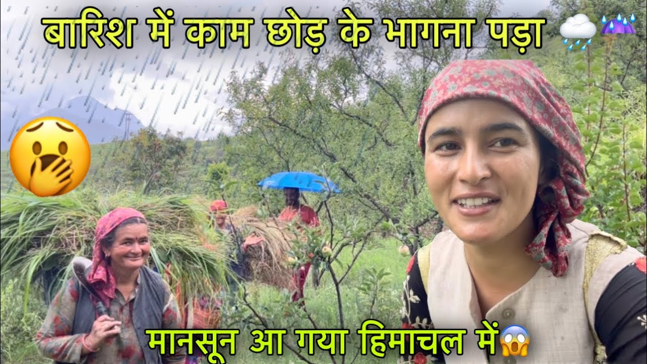 बारिश में खेत का काम छोड़ कर भागना पड़ा 🌧️☔️ || Monsoon || Pahadi lifestyle vlog || Girl from North