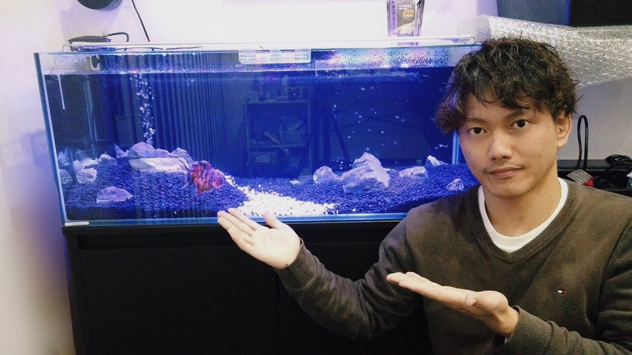 これが俺の90㎝金魚水槽だ【後編】