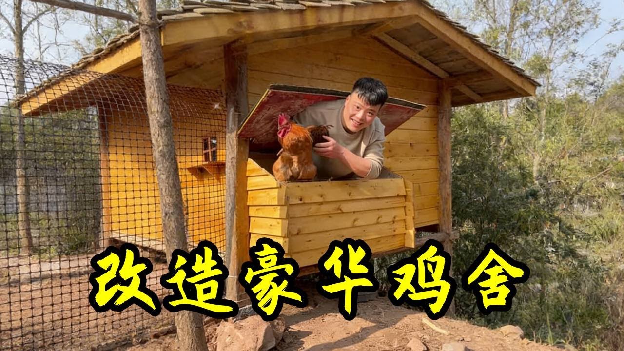 改造小院豪华鸡舍已完工，看到最后的样子，我都想住进去了#我的乡村生活 #记录真实生活 #三农 #鸡舍