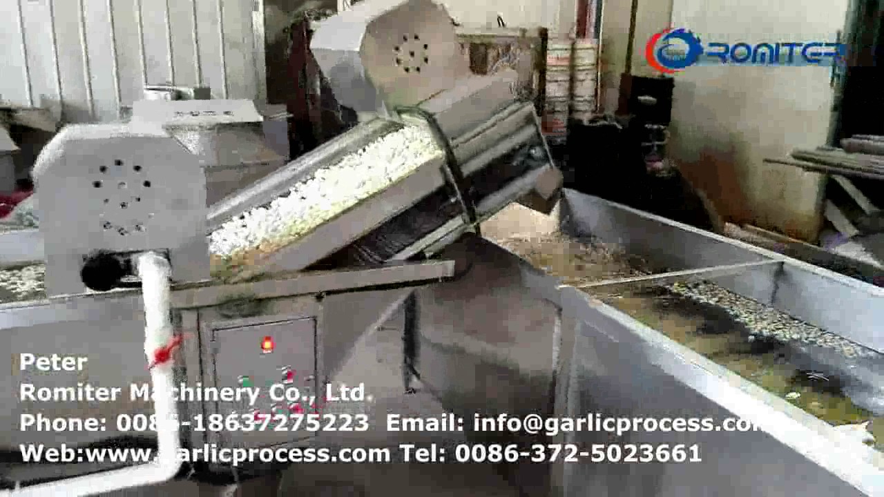 Full Automatic Garlic Clove Production LIne with Sterilization and Size Grading