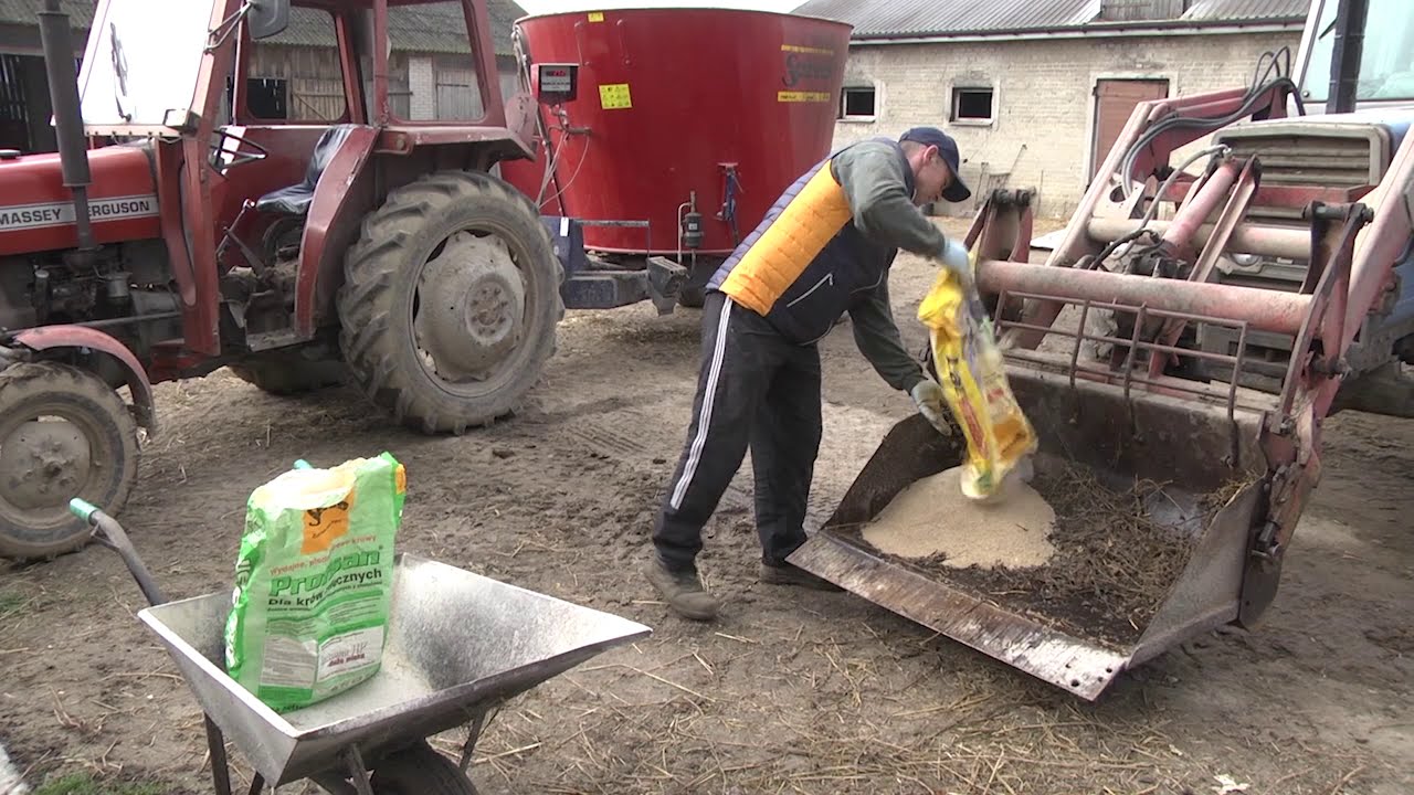 Wóz paszowy Sano przyczynił się do zlikwidowania kwasicy w stadzie