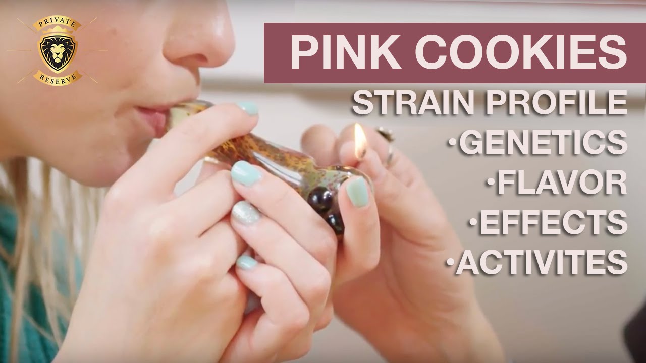 NWCS Strain Profile - Pink Cookies from Private Reserve