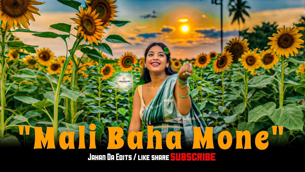''Mali Baha Mone'' 😍💖💫  / new Santali song / Santali song lyrics / Santali / @JAHANDAEDITS_10K