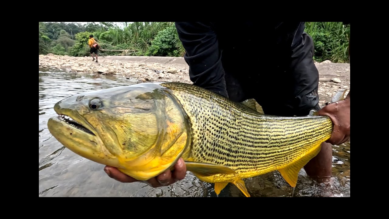 PESCA ARTESANAL EN LA SELVA BOLIVIANA 🇧🇴