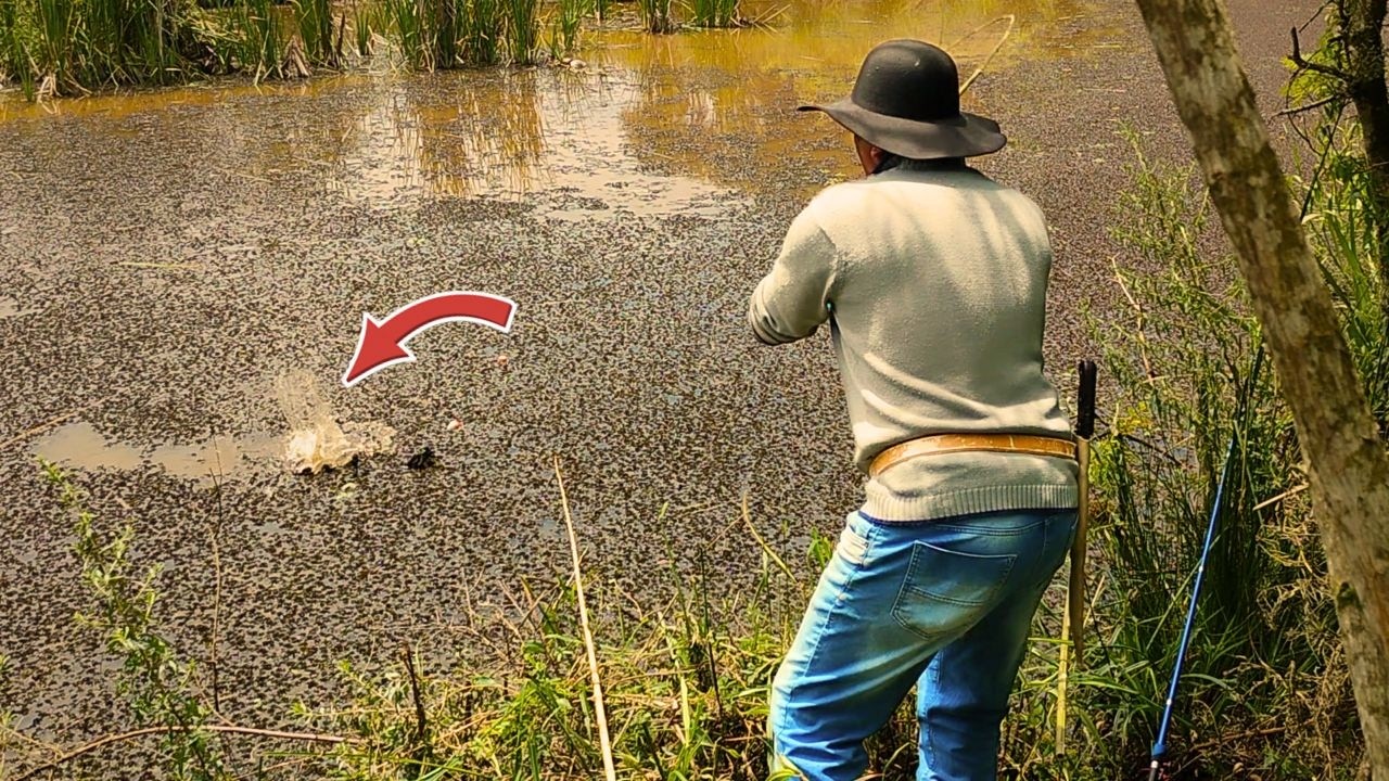 Só FISGADA de acelerar o CORAÇÃO, pescaria de TRAIRAS BRUTAS na lagoa abondonada!!!