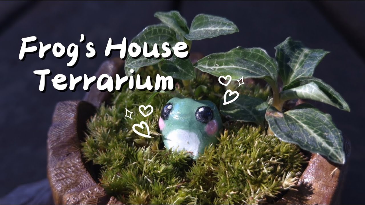 3D 프린터로 개구리 집 테라리움 만들기 Frog's House Terrarium with 3D Printing