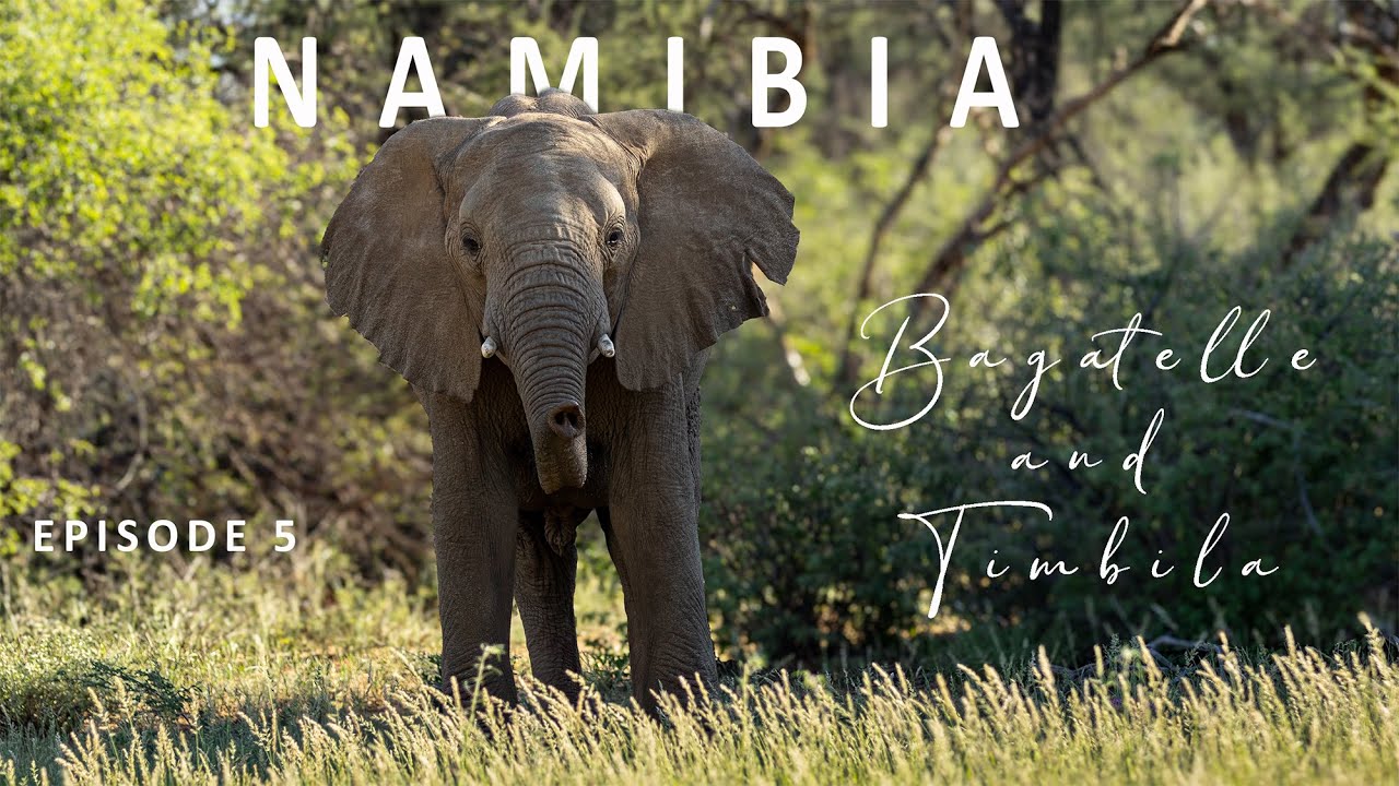 NAMIBIA 2024 | EXPECT THE UNEXPECTED | EPISODE 5 | BAGATELLE & TIMBILA