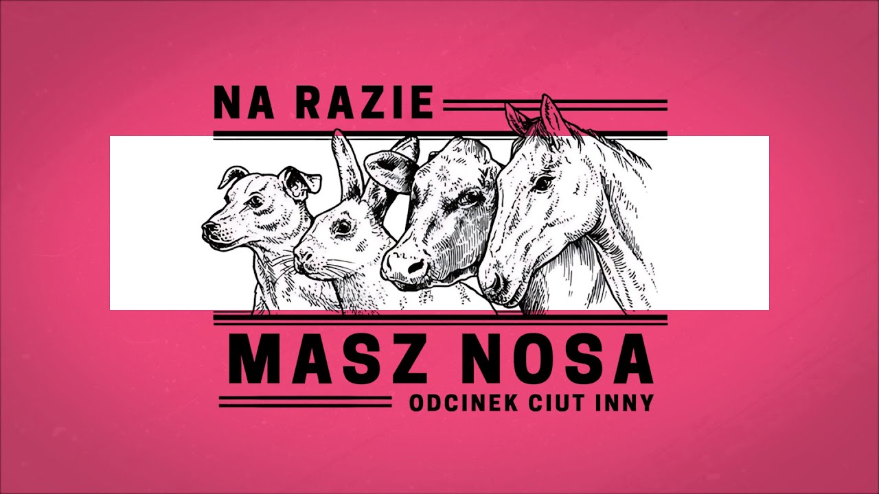 NA RAZIE MASZ NOSA odcinek ciut inny