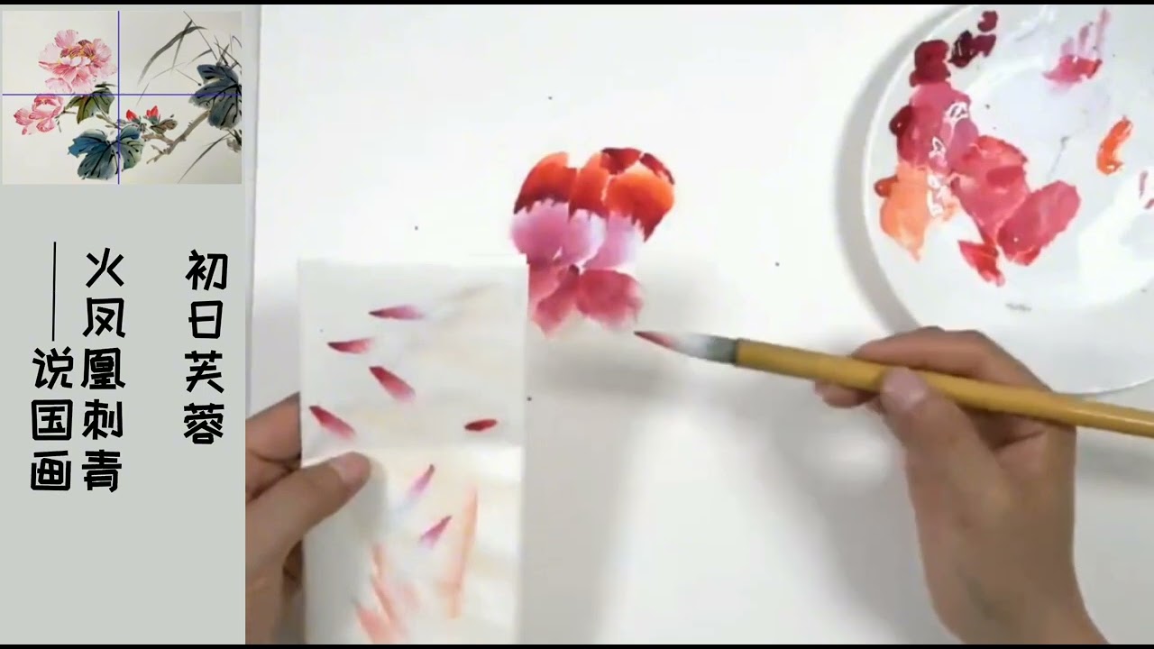 国画花鸟教程：芙蓉的画法——1