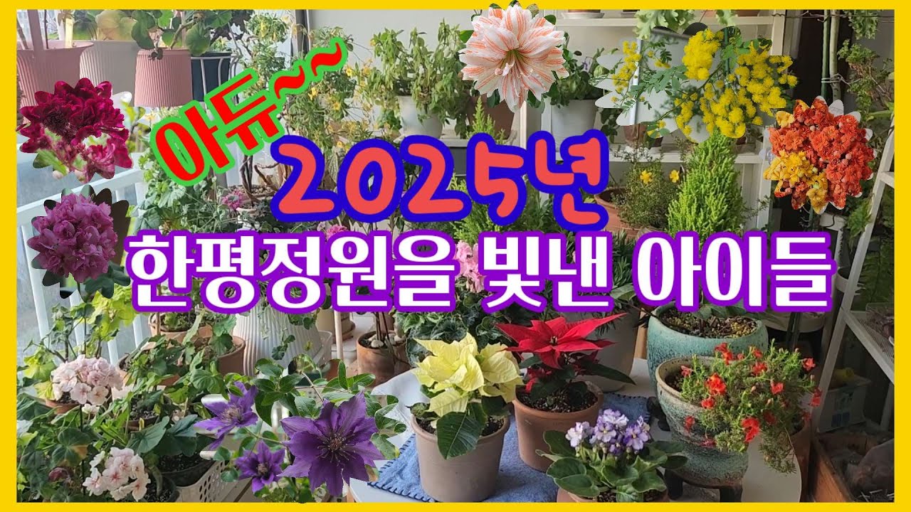 아듀~~2025년 한평정원을 빛낸 아이들