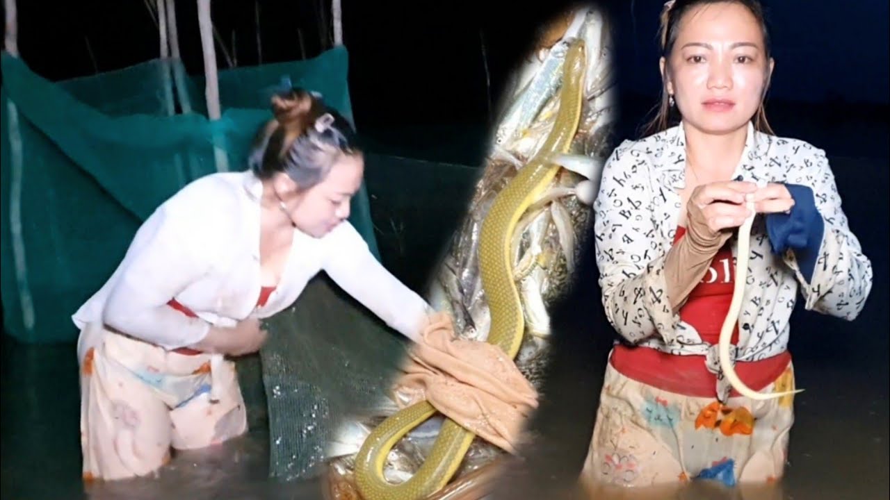 Thăm Dớn Cá Linh Dính Con Rắn Lạ Chưa Từng Thấy Bao Giờ