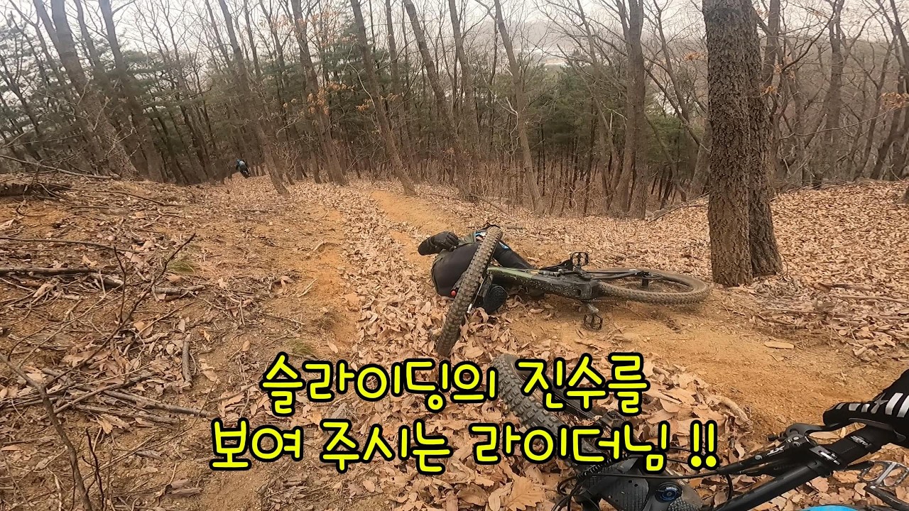 260222노고일대