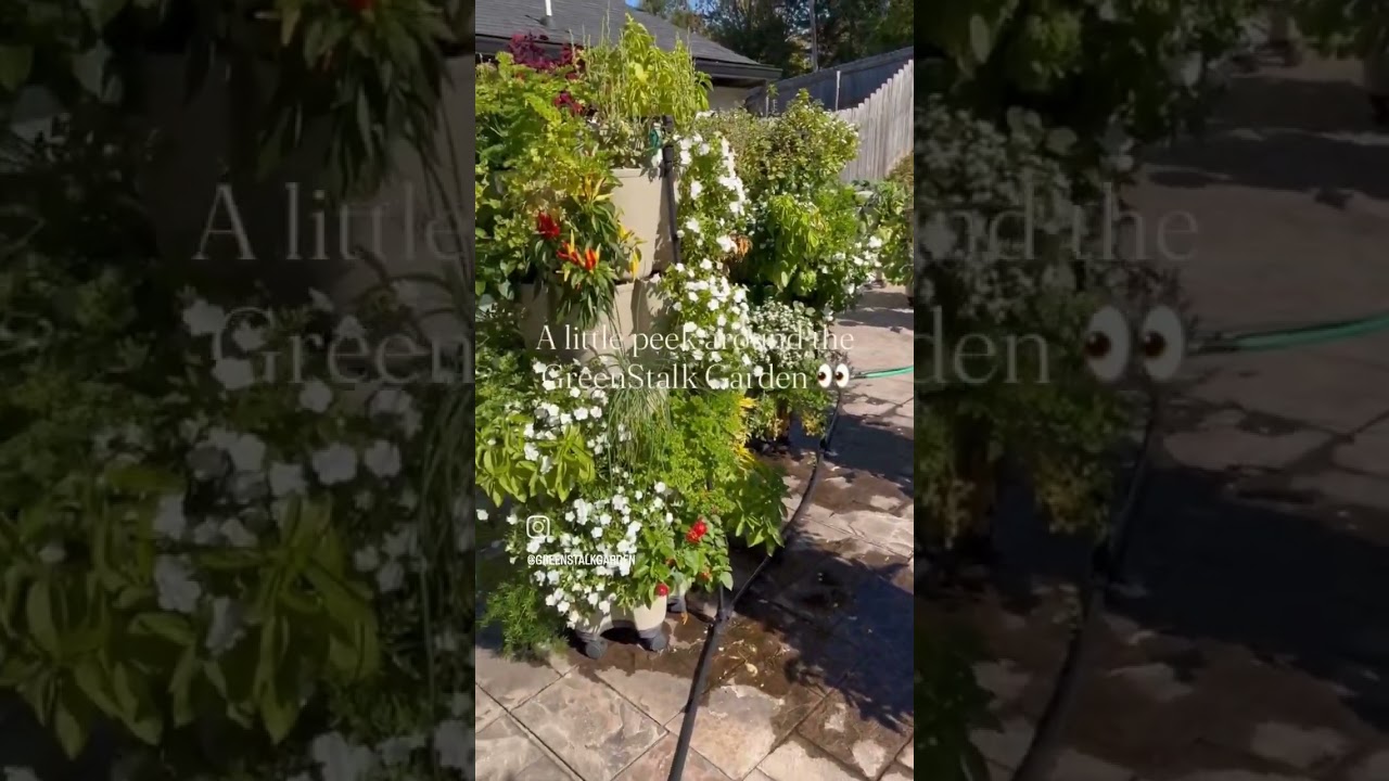 Touring the GreenStalk Garden