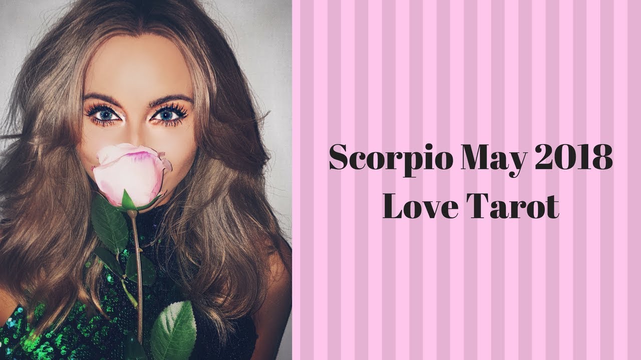 Scorpio May Love Tarot  They're smitten