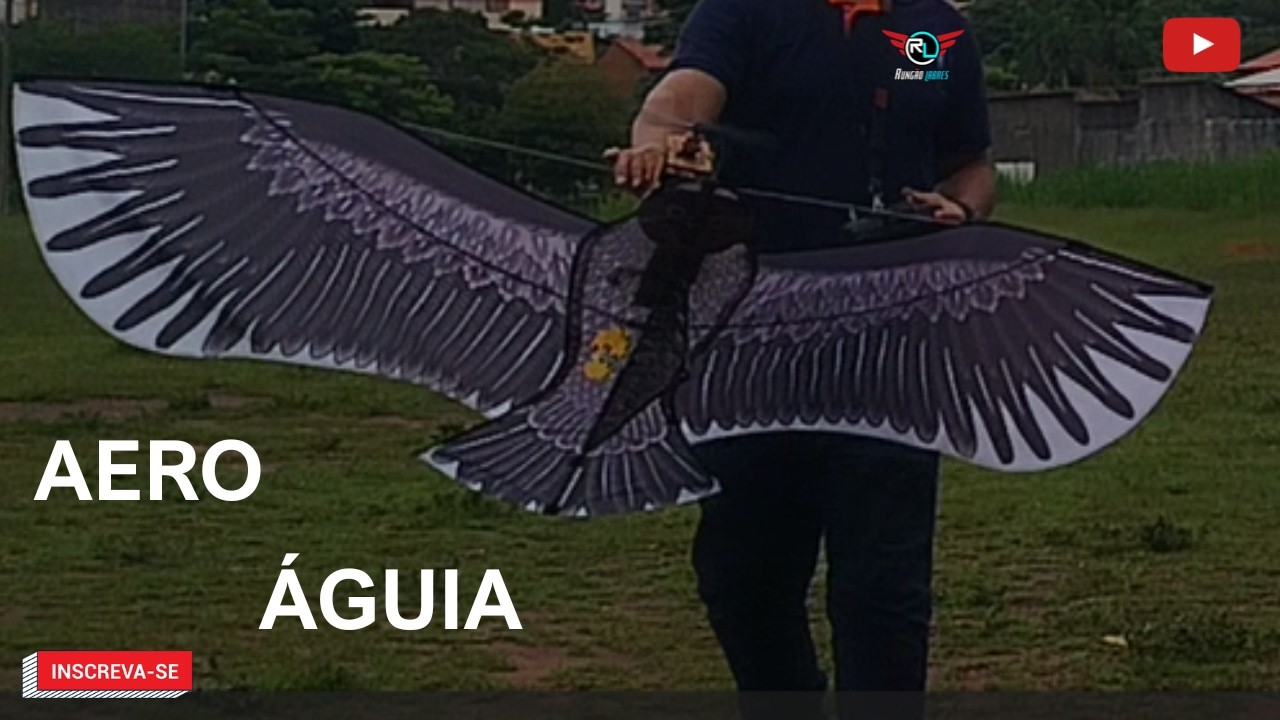 AERO AGUIA O VOO - A PIPA MAIS R&Aacute;PIDA DO MUNDO? Transformei em Aeromodelo! 🚀