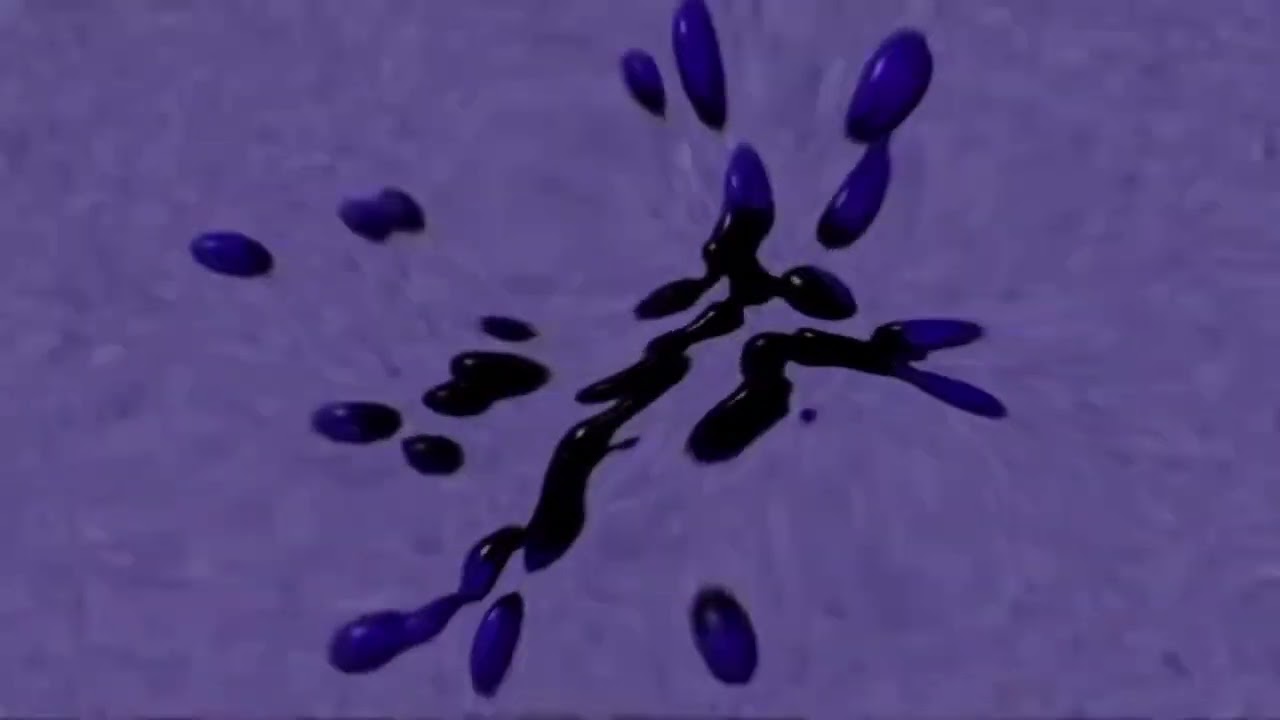 Klasky Csupo in fat X Effect Powers