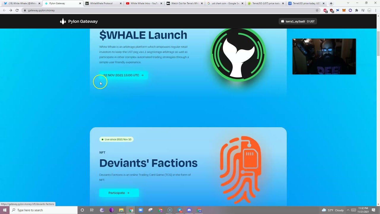 White Whale IDO Launch on Pylon