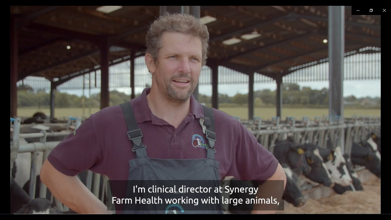 Medicine Hub - how vets can support farmers to monitor and compare medicine use