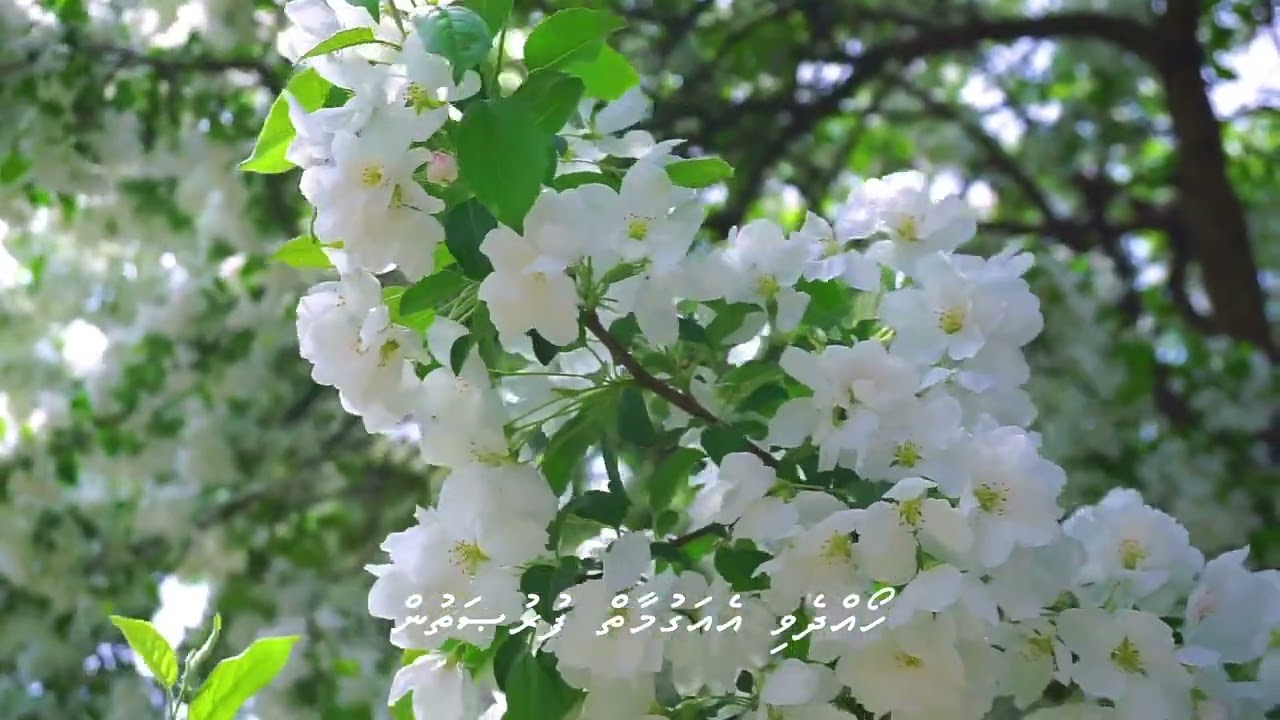 Emuneyshiey Ranhaarutha