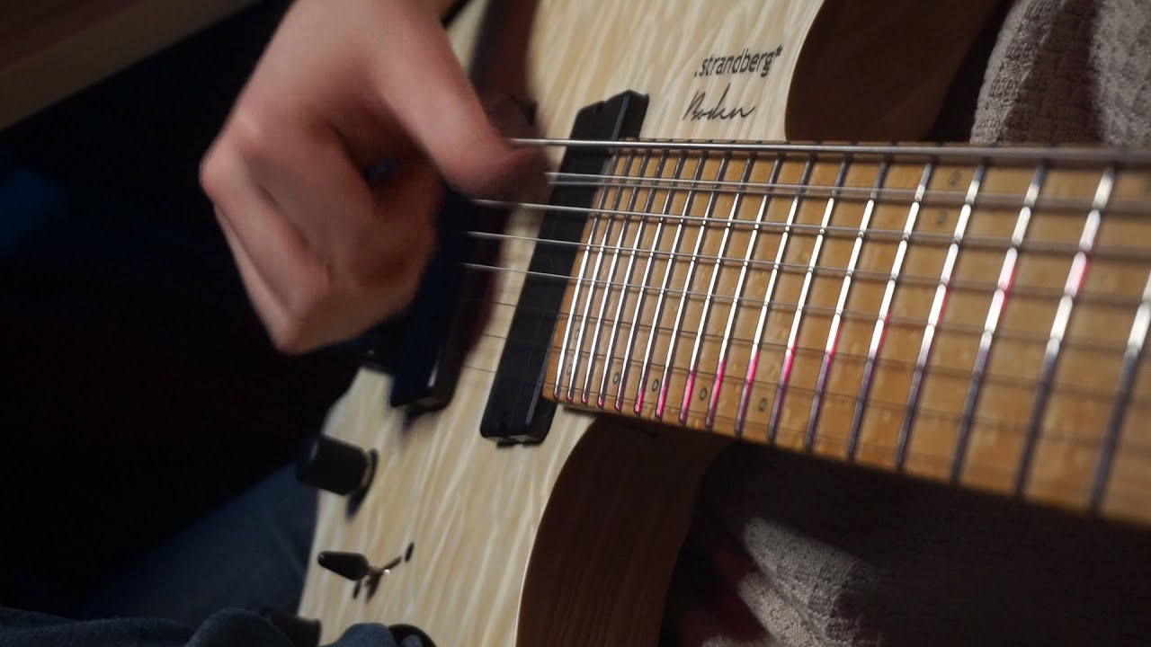Physical Education / Animals As Leaders (Cover)