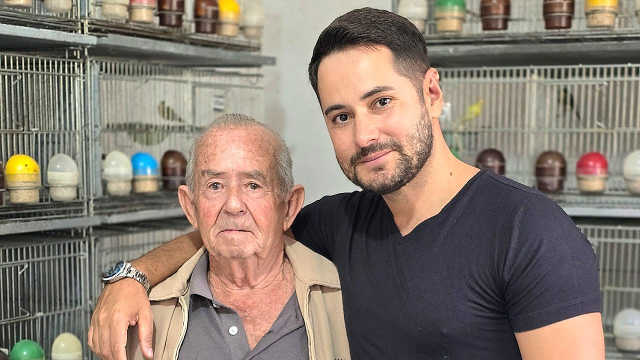 VOVÔ ARGEMIRO: COMO ESTÁ A SUA CRIAÇÃO DE CANÁRIO EM 2024?