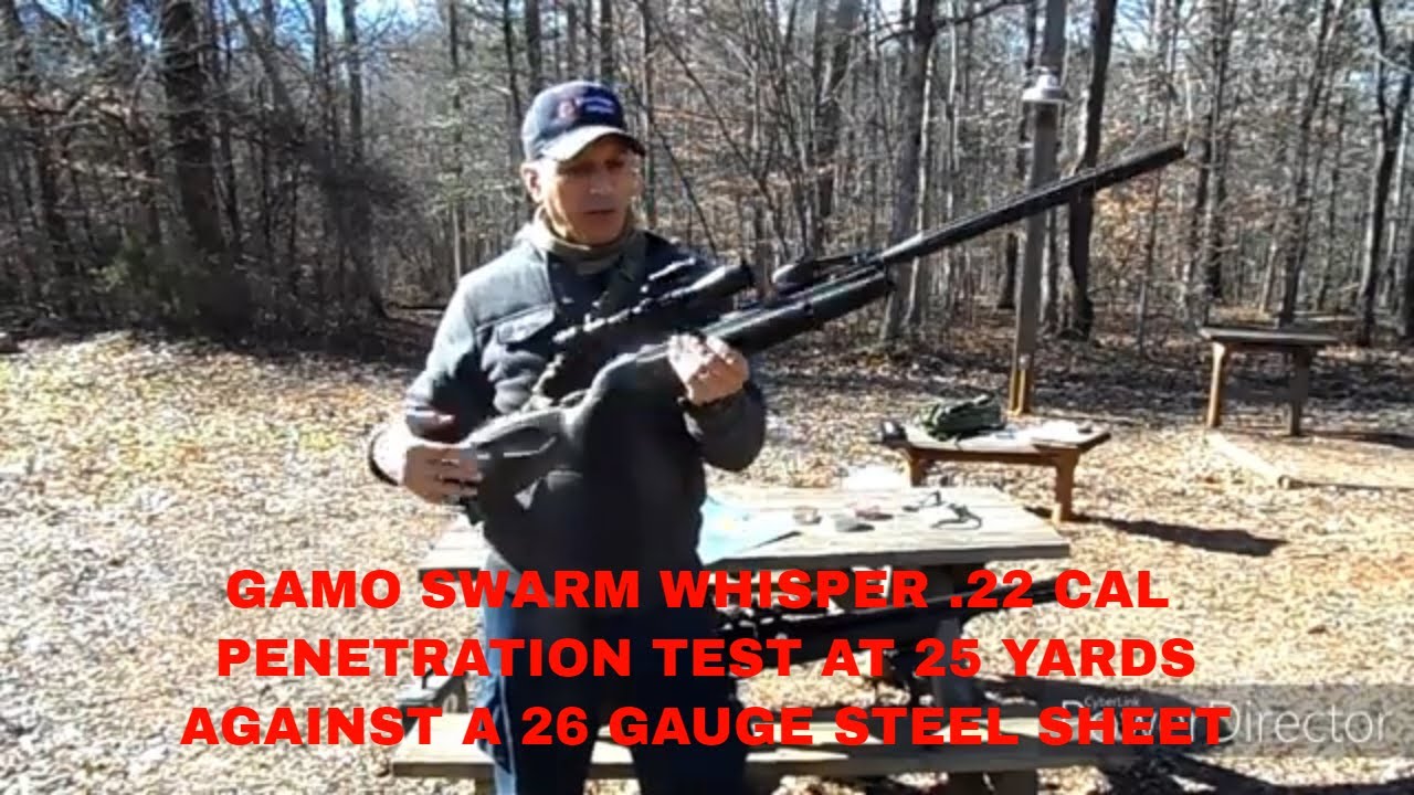 GAMO SWARM WHISPER .22 CAL 26 GAUGE STEEL SHEET PENETRATION TEST AT 25 YARDS #gogamo