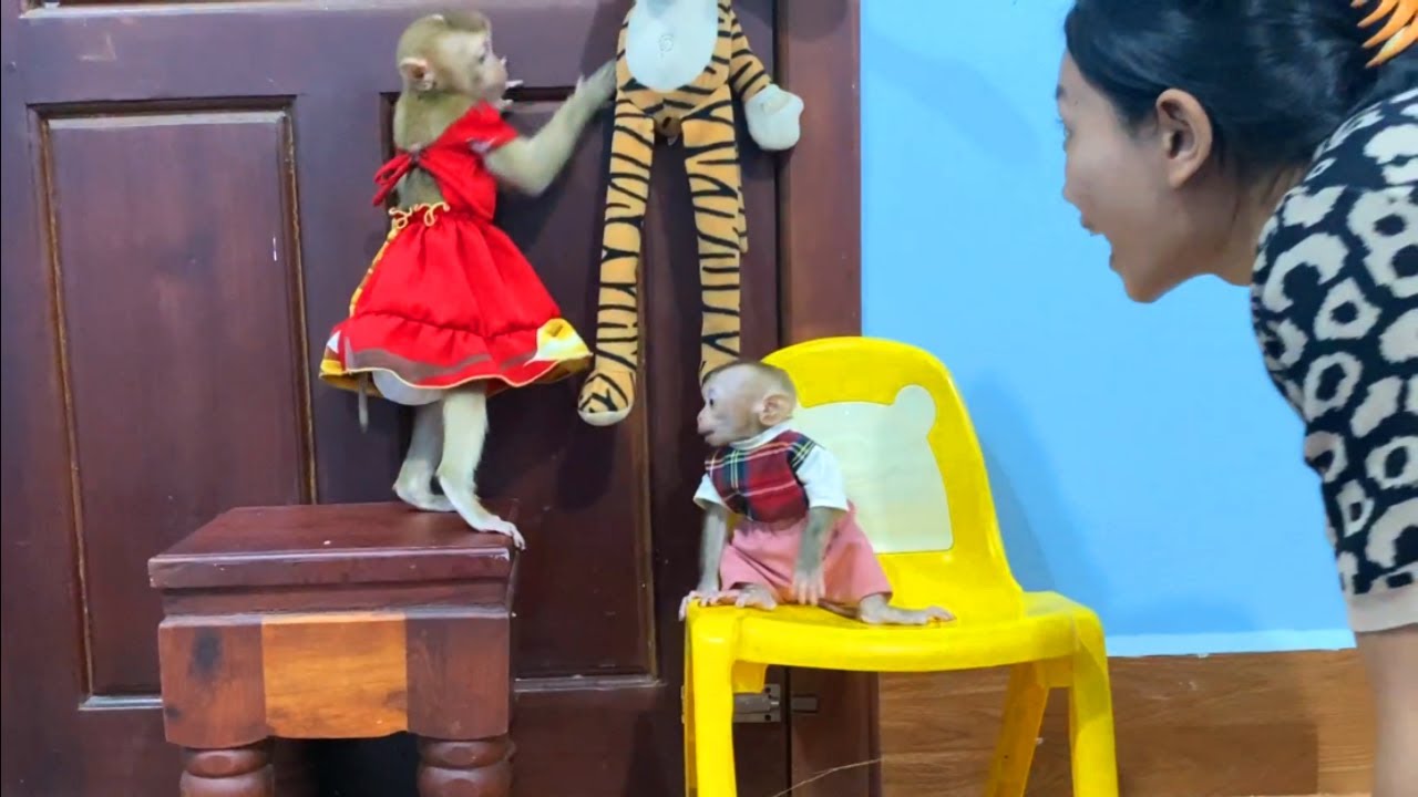 JUEUR & Tourtour So Excited Play With Mom