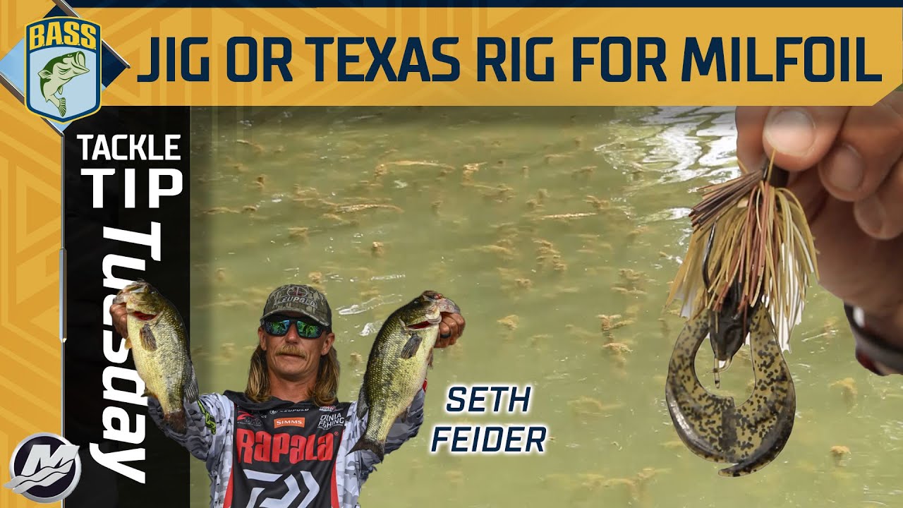 Seth Feider's grass flipping debate: Texas Rig vs. Jig in Milfoil