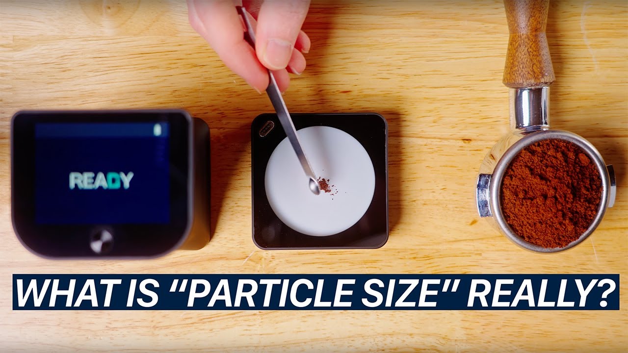 What Is Particle Size?