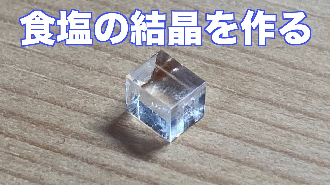 塩の結晶を作る！！