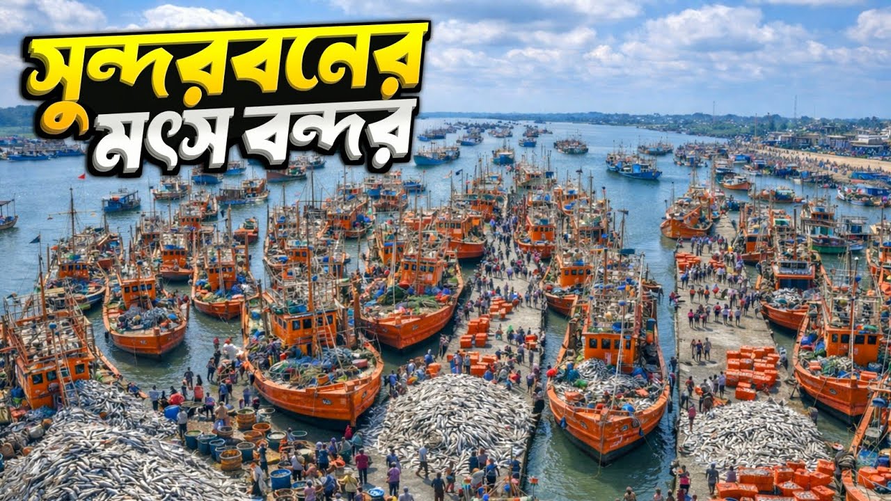 সুন্দরবনের বৃহত্তম মাছের বন্দর | Sundarban's Largest Fish Port 