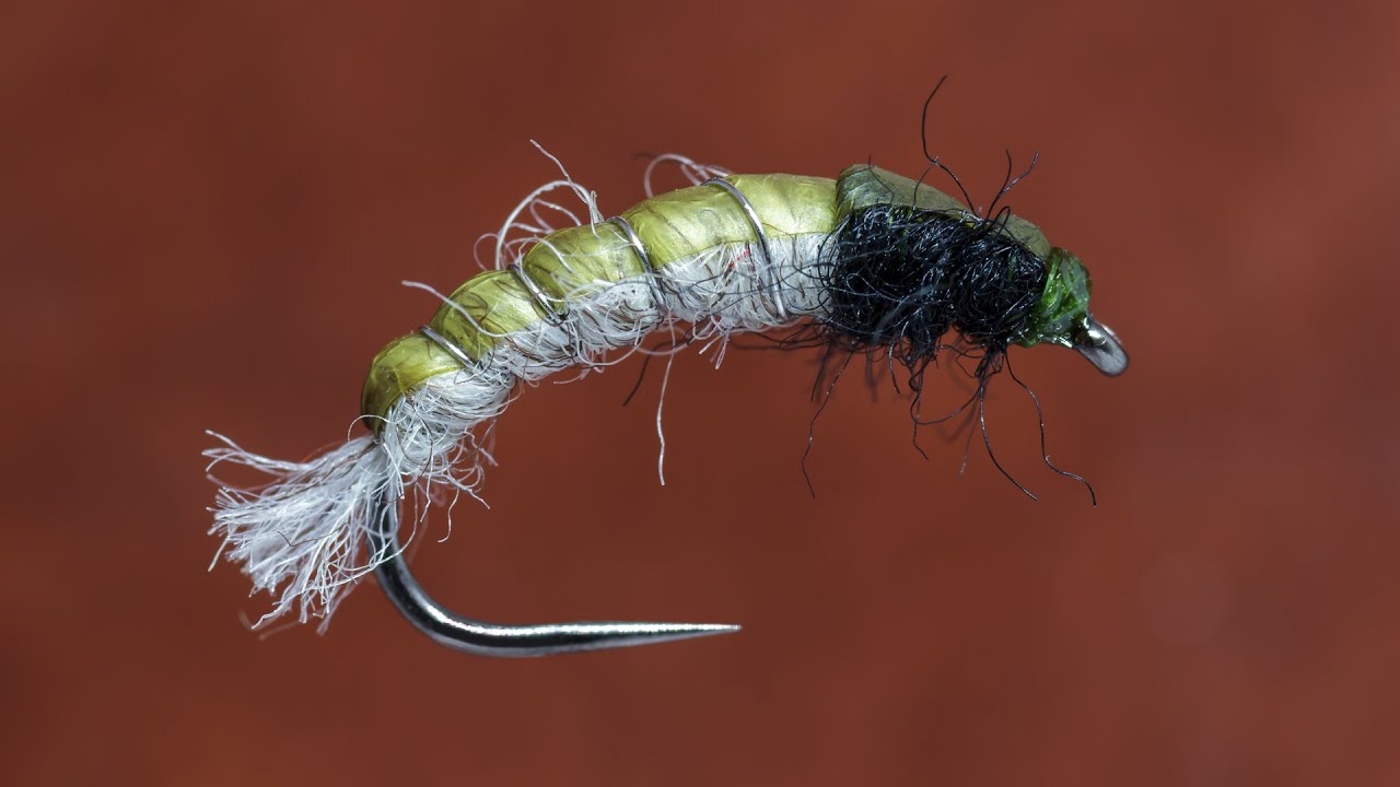 Fly Tying - Caddis Larva