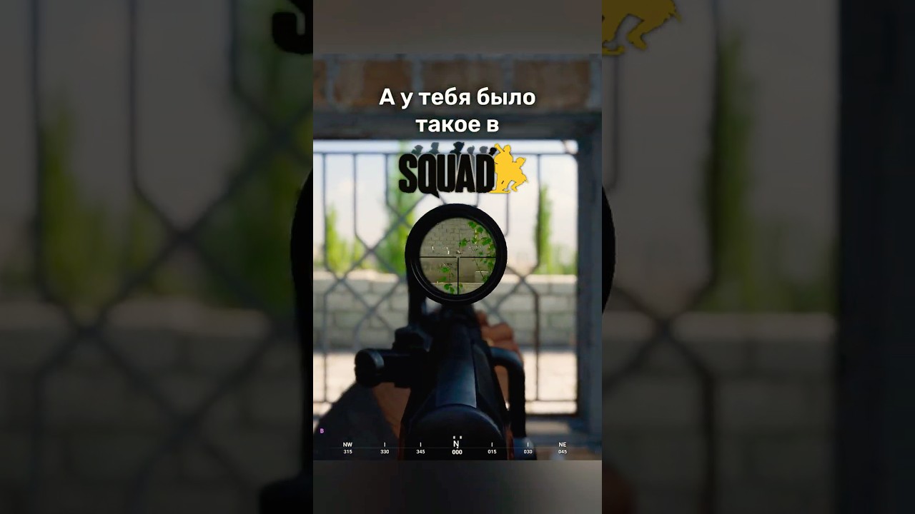 А у тебя было такое в SQUAD ике?