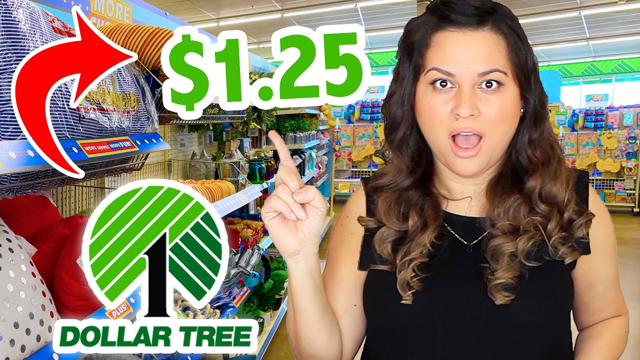 Dollar Tree Products You NEVER Expect to Find in Dollar Tree Stores