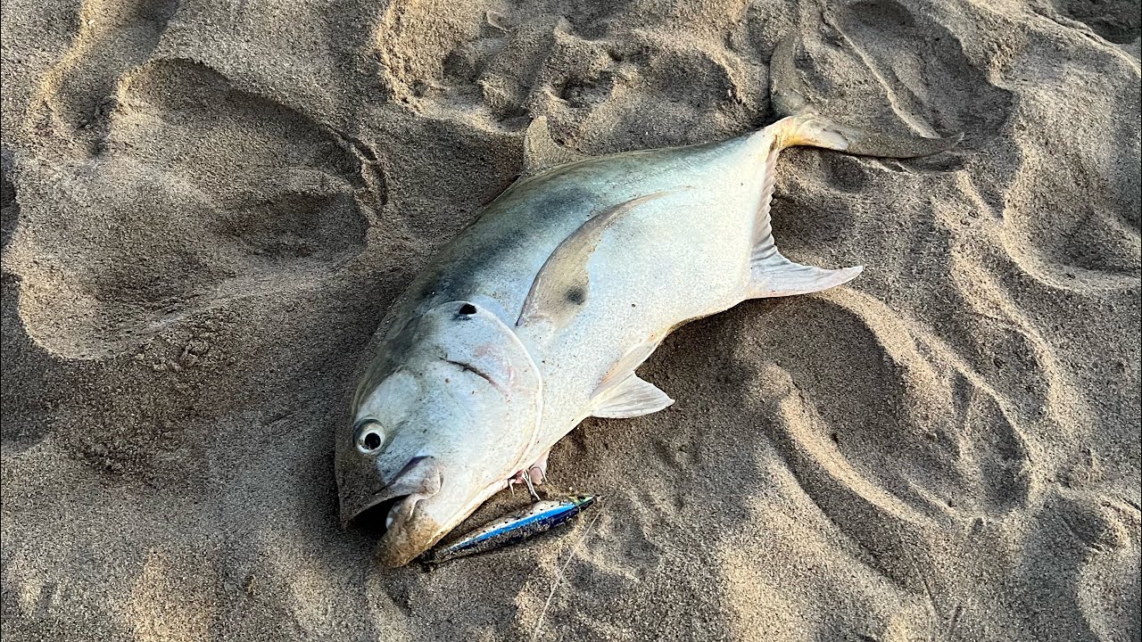 El mejor se&ntilde;uelo para la pesca de orilla | Coyuca de Benitez, Guerrero 